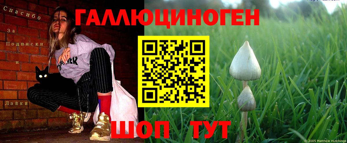 Галлюциногенные грибы ЛСД  Псилоцибиновые грибы Cubensis  Владимир  Вход с VPN 